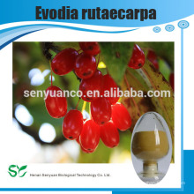 100% natural Evodia Extract/Evodia Extract powder